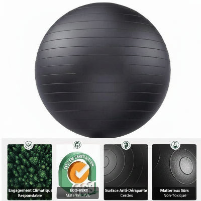 swiss ball eco responsable