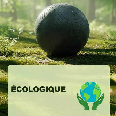 swiss ball ecologique non toxique 