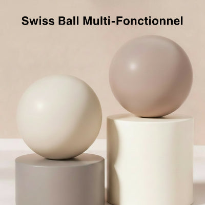 swiss ball lisse multi fonctionel